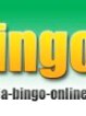 casino slots bonus